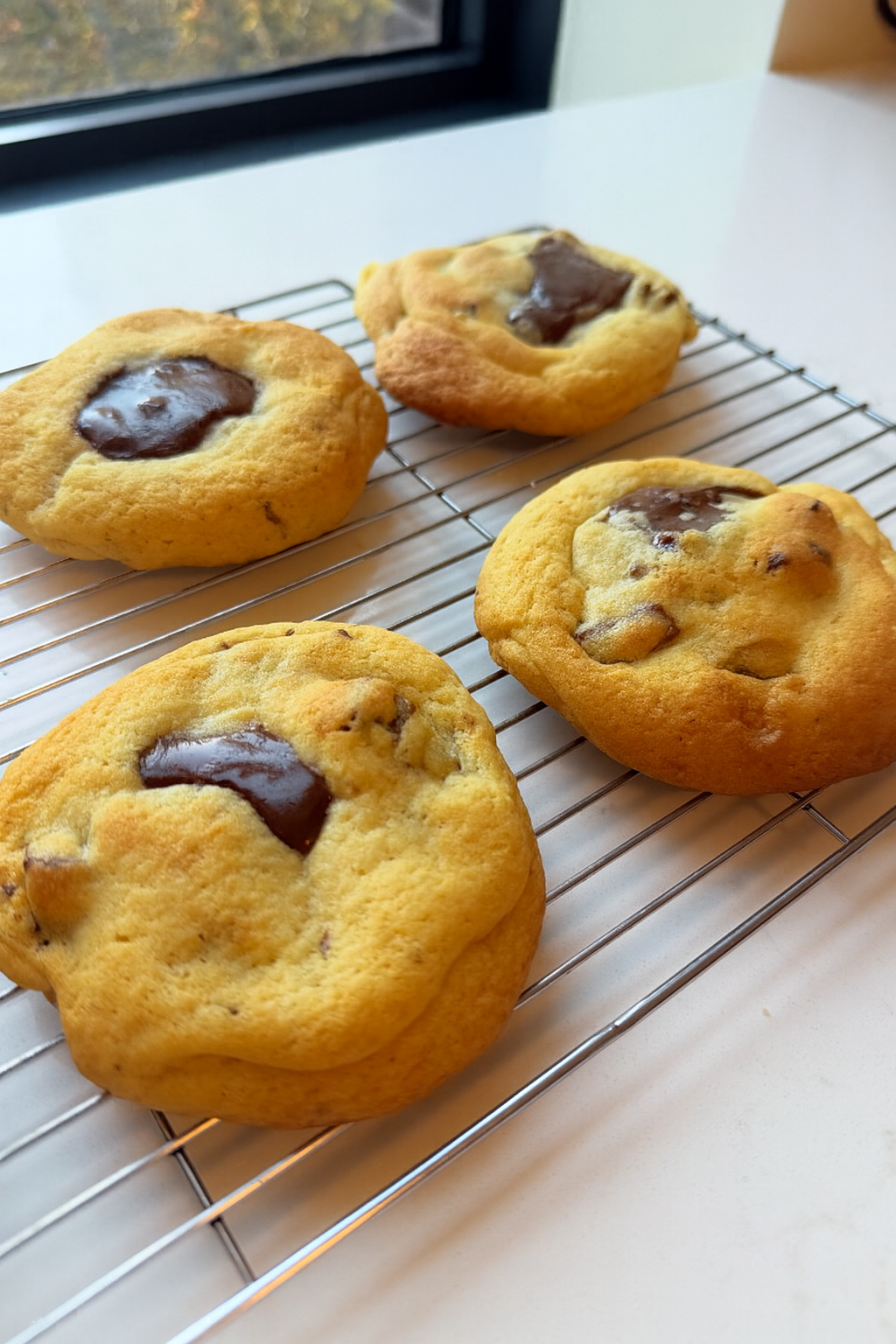 Golden Cream Chip Cookie - PACK of 12 cookies
