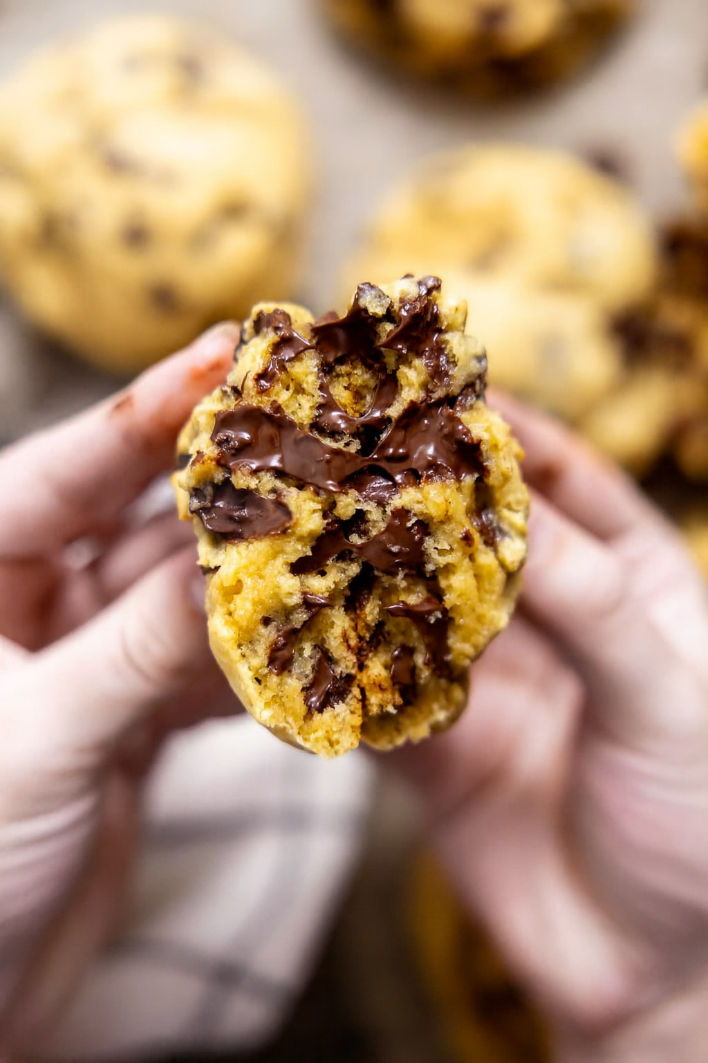 Chocolate Chip Chunk Cookie - PACK of 6 Cookies